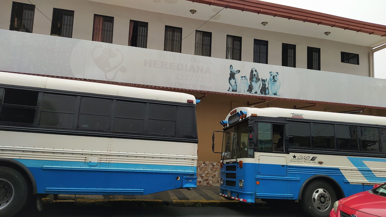 Fachada de la Veterinaria Herediana en Calle 2, con su rótulo y los buses estacionados al frente