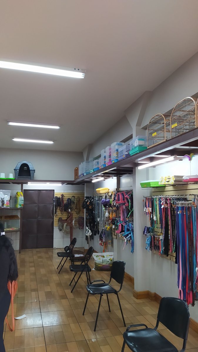 Pasillo con correas de colores, jaulas y sillas de espera